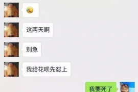 诸暨贷款清欠服务